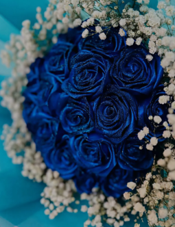 Sapphire Serenity Bridal